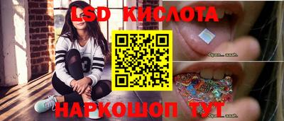 PSILOCYBIN Гатчина