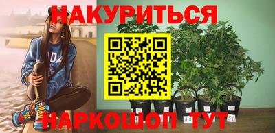 PSILOCYBIN Гатчина