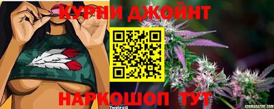 PSILOCYBIN Гатчина