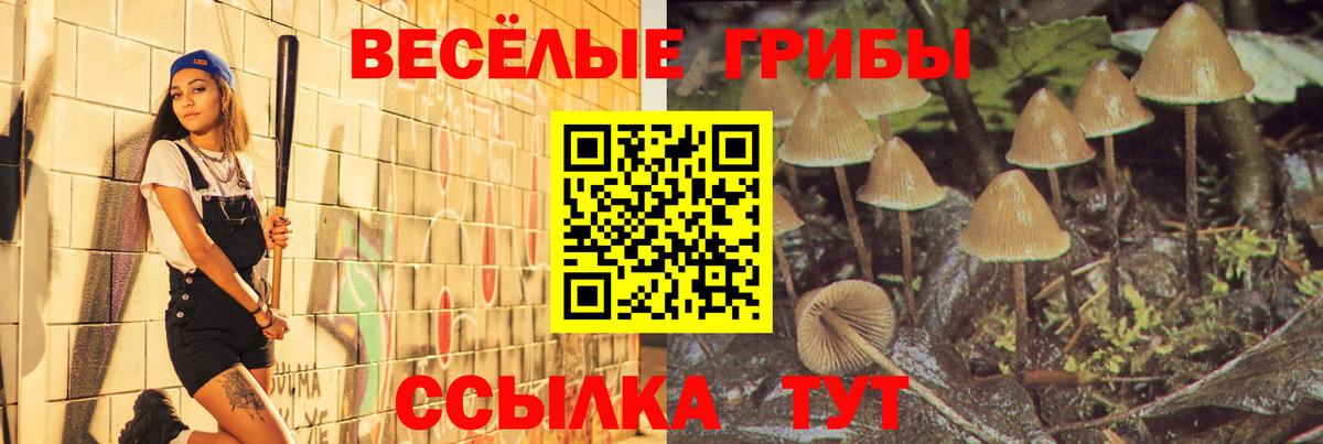 купить наркотики сайты  Псилоцибиновые грибы ЛСД  Вход с VPN  Галлюциногенные грибы MAGIC MUSHROOMS  Михайловск 